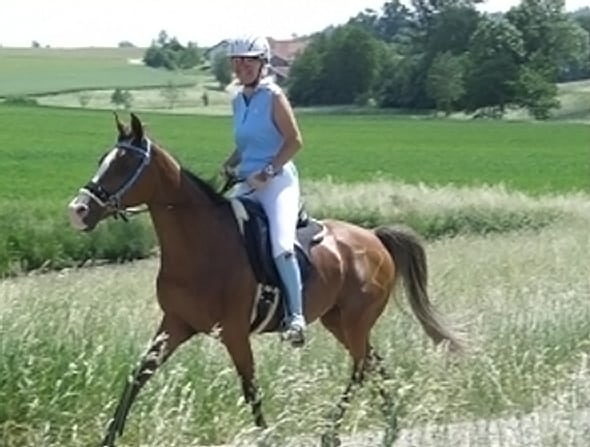 Ariat-Endurance Team, Marianne und Detlef Hähnel