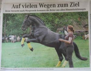 Artikel Showvorführung gebisslos mit LG-Zaum