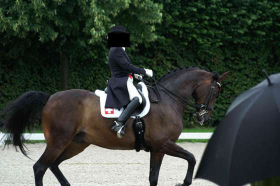 CHIO Aachen 2008 Grand Prix Spezial