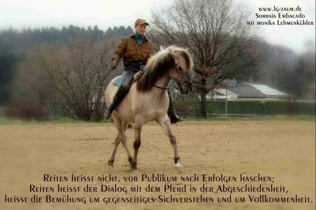Dressur Traversale geritten gebisslos