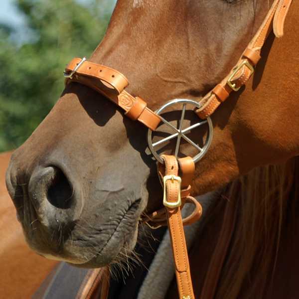 LG-Zaum Gebisslos Westernreiter