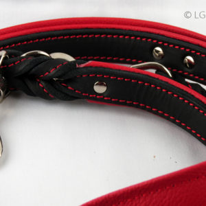 LG Hundeartikel Leine Detailaufnahme rot-schwarz