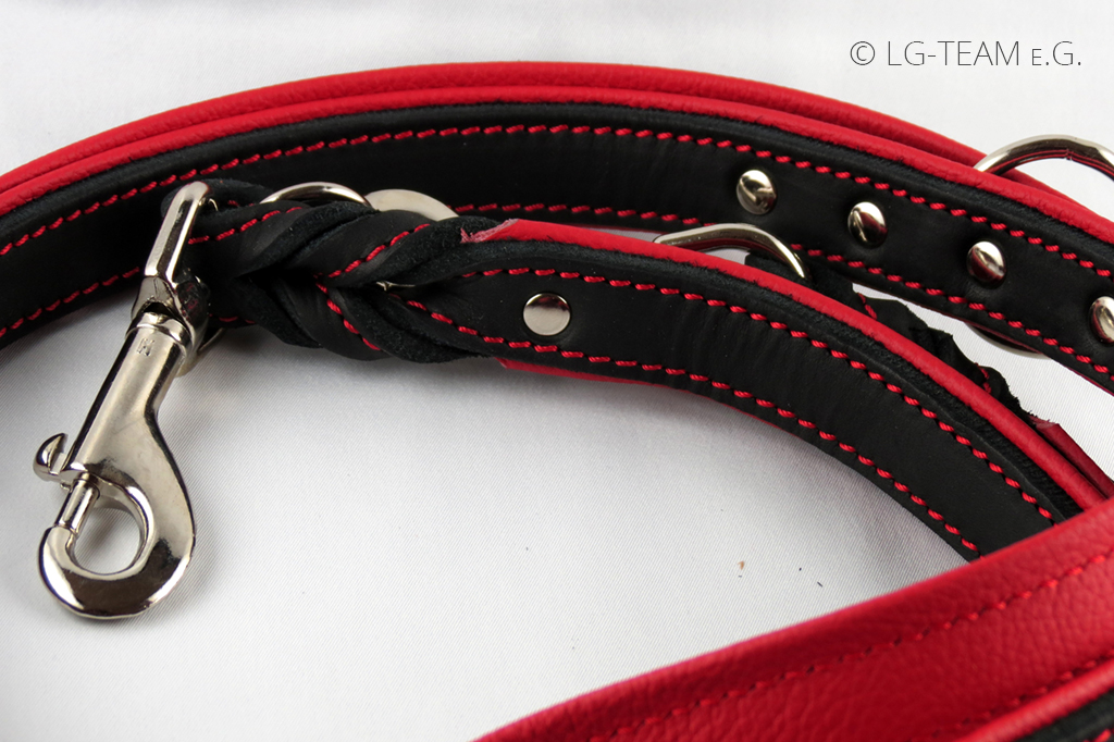 LG Hundeartikel Leine Detailaufnahme rot-schwarz