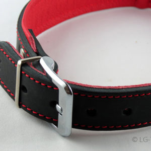 LG Hundehalsband Detailaufnahme in rot schwarz