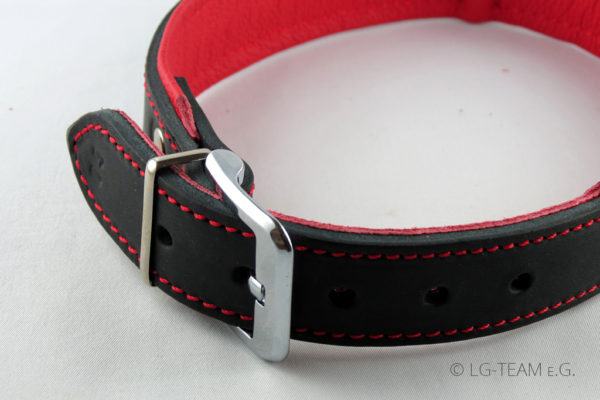LG Hundehalsband Detailaufnahme in rot schwarz