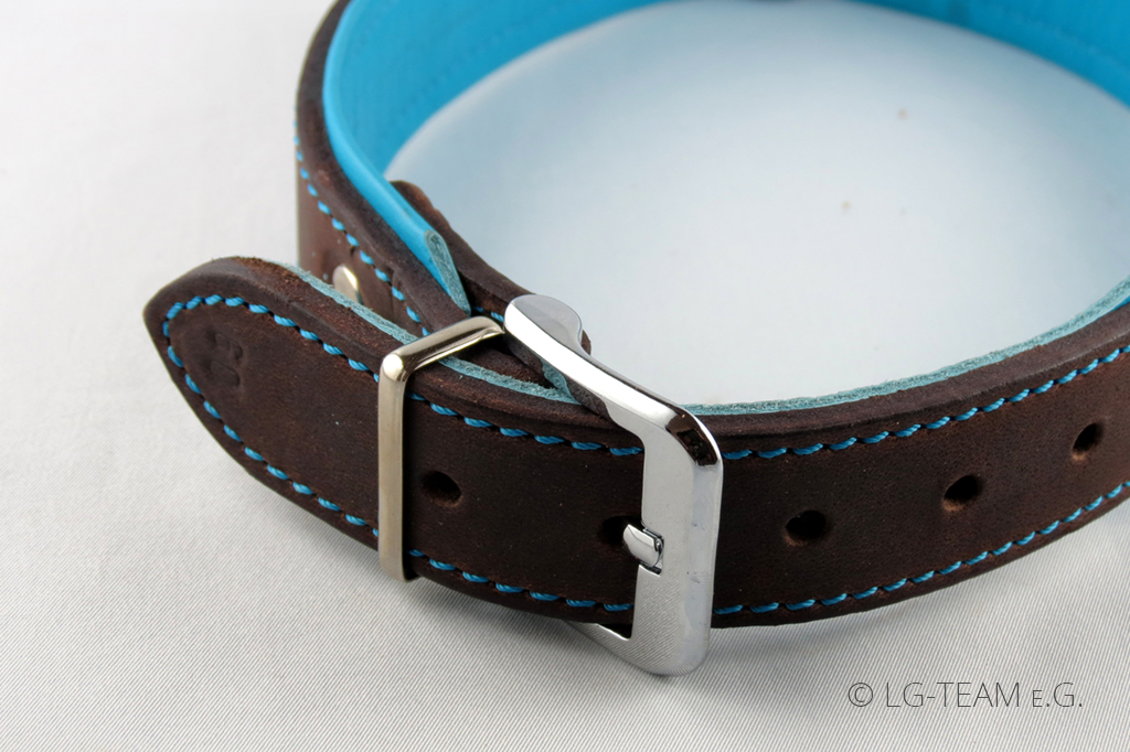 LG Hundehalsband Detailaufnahme in türkis braun