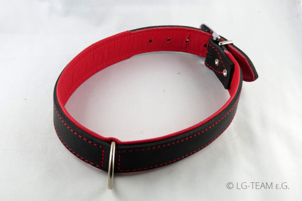 LG Hundehalsband in rot-schwarz