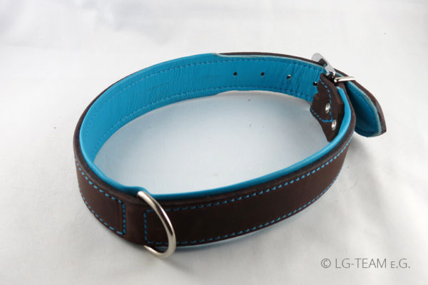 LG Hundehalsband in türkis-braun