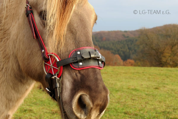 LG PLUS am Pferd rot-schwarz