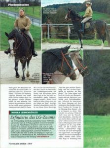 MeinPferd Mustang aus USA Wunschpferd