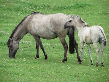 Mutter und Sohn