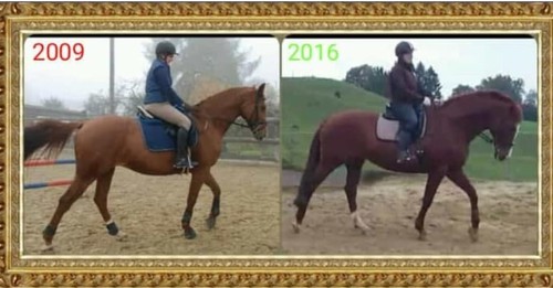 Nina Wirth Trainingsergebnis