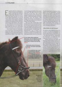 Pegasus Das Gebiss ist ein Irrtum