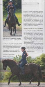 Pegasus Dressur gebisslos leicht möglich