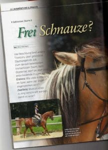 Pegasus Frei Schnauze gebisslos reiten