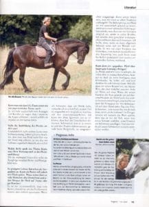 Pegasus Interview zum gebisslosen Reiten