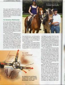 Pegasus Professor Preuschoft Werdegang