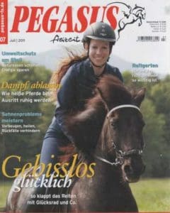 Pegasus Titelbild LG-Zaum