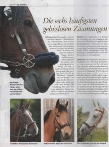 Pegasus Vergleich andere gebisslose Zäume