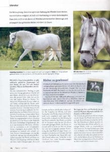 Pegasus alles geht gebisslos mit Glücksrad