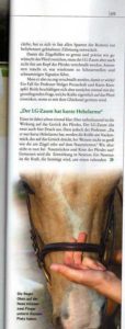 Pegasus sanfter Hebel des LG-Zaums