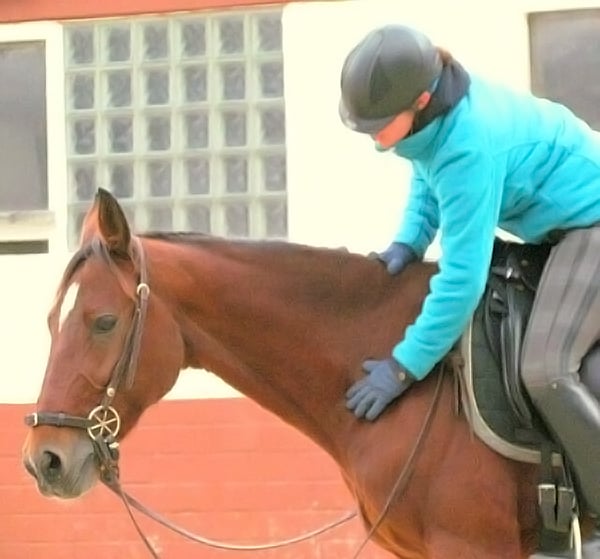 Sabrina Ebben, Reiten soll etwas vertrauensvolles sein!