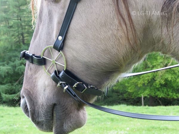 govegan lgzaum biothane kopfstück zügel kinnkette